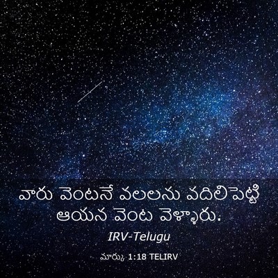 Picture 03 - మార్కు 1:18 TELIRV - వారు వెంటనే వలలను - Bible Verse Picture