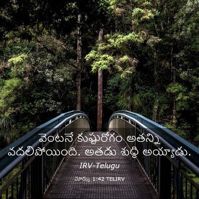 Picture 03 - మార్కు 1:42 TELIRV - వెంటనే కుష్టురోగం - Bible Verse Picture