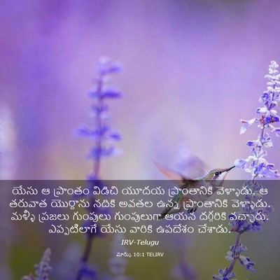 Picture 03 - మార్కు 10:1 TELIRV - యేసు ఆ ప్రాంతం - Bible Verse Picture