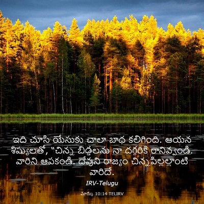 Picture 03 - మార్కు 10:14 TELIRV - ఇది చూసి యేసుకు - Bible Verse Picture