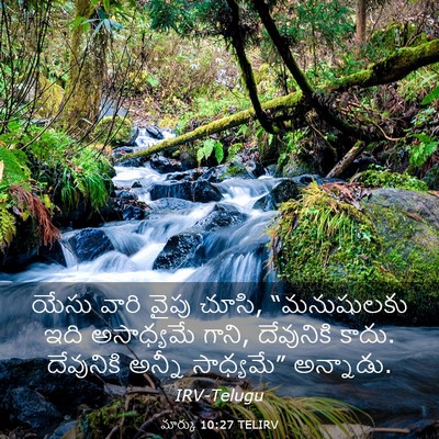 Picture 03 - మార్కు 10:27 TELIRV - యేసు వారి వైపు - Bible Verse Picture