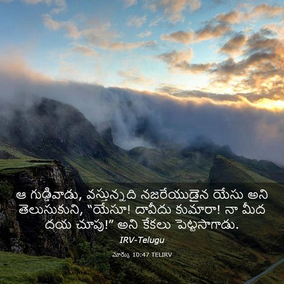 Picture 03 - మార్కు 10:47 TELIRV - ఆ గుడ్డివాడు, - Bible Verse Picture