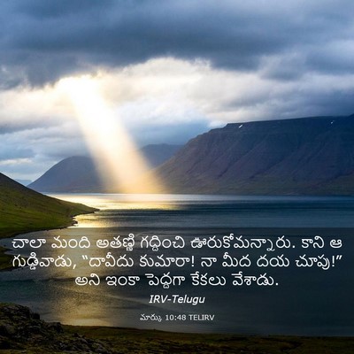 Picture 03 - మార్కు 10:48 TELIRV - చాలా మంది అతణ్ణి - Bible Verse Picture