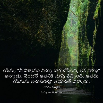 Picture 03 - మార్కు 10:52 TELIRV - యేసు, “నీ విశ్వాసం - Bible Verse Picture