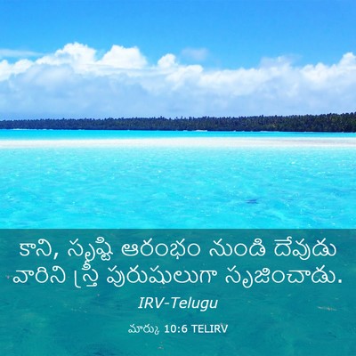 Picture 03 - మార్కు 10:6 TELIRV - కాని, సృష్టి ఆరంభం - Bible Verse Picture