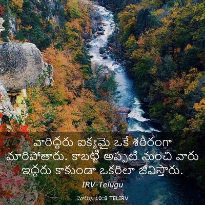 Picture 03 - మార్కు 10:8 TELIRV - వారిద్దరు ఐక్యమై - Bible Verse Picture
