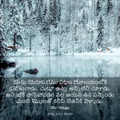 Picture 03 - మార్కు 11:11 TELIRV - యేసు యెరూషలేము - Bible Verse Picture