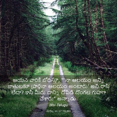 Picture 03 - మార్కు 11:17 TELIRV - ఆయన వారికి - Bible Verse Picture
