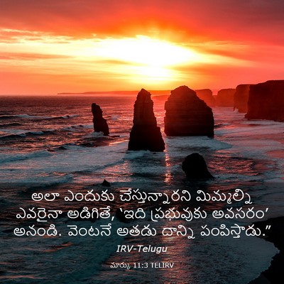 Picture 03 - మార్కు 11:3 TELIRV - అలా ఎందుకు - Bible Verse Picture