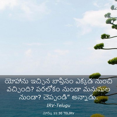 Picture 03 - మార్కు 11:30 TELIRV - యోహాను ఇచ్చిన - Bible Verse Picture
