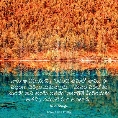 Picture 03 - మార్కు 11:31 TELIRV - వారు ఆ విషయాన్ని - Bible Verse Picture