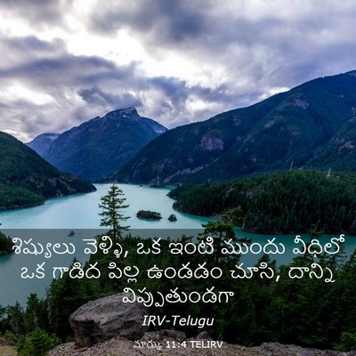 Picture 03 - మార్కు 11:4 TELIRV - శిష్యులు వెళ్ళి, - Bible Verse Picture