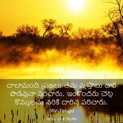 Picture 03 - మార్కు 11:8 TELIRV - చాలామంది ప్రజలు - Bible Verse Picture