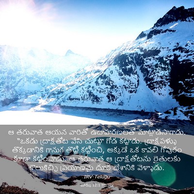 Picture 03 - మార్కు 12:1 TELIRV - ఆ తరువాత ఆయన - Bible Verse Picture