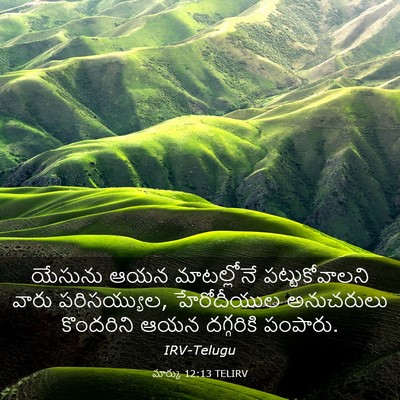 Picture 03 - మార్కు 12:13 TELIRV - యేసును ఆయన - Bible Verse Picture