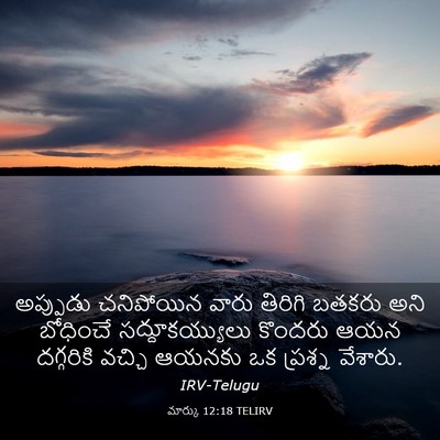 Picture 03 - మార్కు 12:18 TELIRV - అప్పుడు చనిపోయిన - Bible Verse Picture