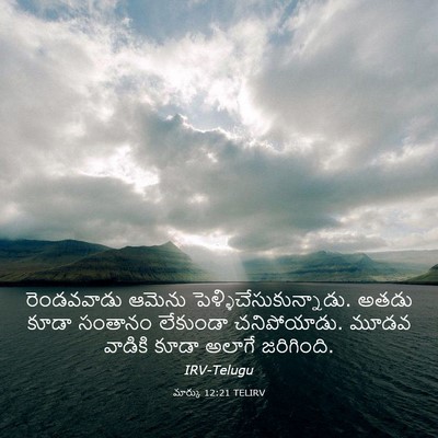 Picture 03 - మార్కు 12:21 TELIRV - రెండవవాడు ఆమెను - Bible Verse Picture