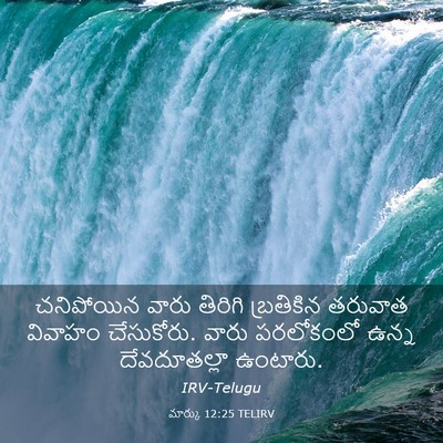 Picture 03 - మార్కు 12:25 TELIRV - చనిపోయిన వారు - Bible Verse Picture