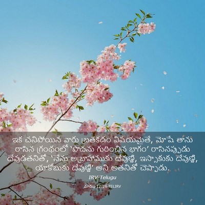 Picture 03 - మార్కు 12:26 TELIRV - ఇక చనిపోయిన వారు - Bible Verse Picture