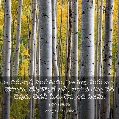 Picture 03 - మార్కు 12:32 TELIRV - ఆ ధర్మశాస్త్ర - Bible Verse Picture