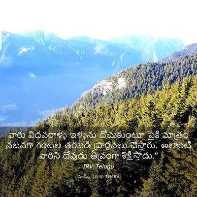 Picture 03 - మార్కు 12:40 TELIRV - వారు విధవరాళ్ళ - Bible Verse Picture