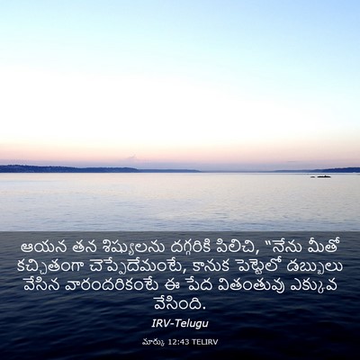 Picture 03 - మార్కు 12:43 TELIRV - ఆయన తన శిష్యులను - Bible Verse Picture