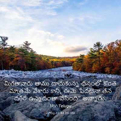 Picture 03 - మార్కు 12:44 TELIRV - మిగతావారు తాము - Bible Verse Picture
