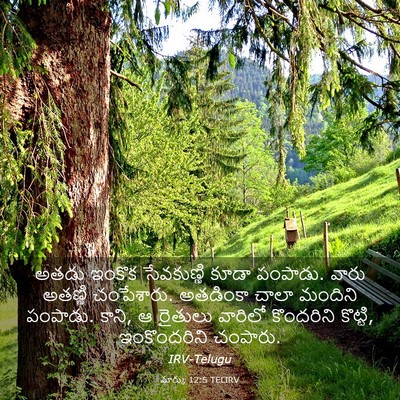 Picture 03 - మార్కు 12:5 TELIRV - అతడు ఇంకొక - Bible Verse Picture