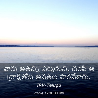 Picture 03 - మార్కు 12:8 TELIRV - వారు అతన్ని - Bible Verse Picture