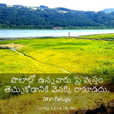 Picture 03 - మార్కు 13:16 TELIRV - పొలాల్లో ఉన్నవారు - Bible Verse Picture
