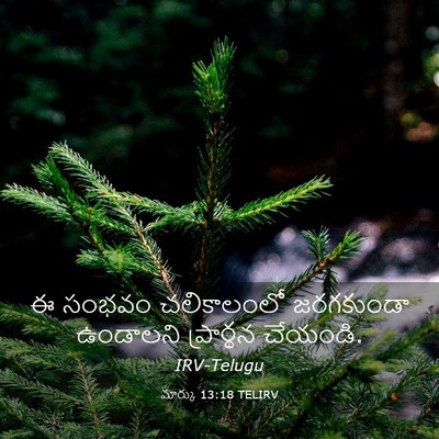 Picture 03 - మార్కు 13:18 TELIRV - ఈ సంభవం చలికాలంలో - Bible Verse Picture