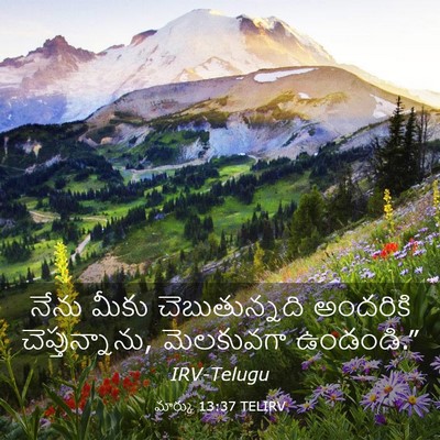 Picture 03 - మార్కు 13:37 TELIRV - నేను మీకు - Bible Verse Picture