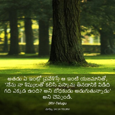 Picture 03 - మార్కు 14:14 TELIRV - అతడు ఏ ఇంట్లో - Bible Verse Picture
