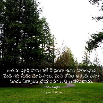 Picture 03 - మార్కు 14:15 TELIRV - అతడు పూర్తి - Bible Verse Picture