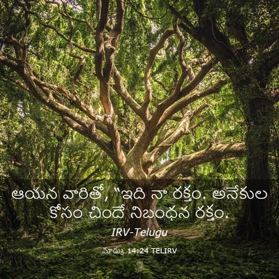Picture 03 - మార్కు 14:24 TELIRV - ఆయన వారితో, “ఇది నా - Bible Verse Picture