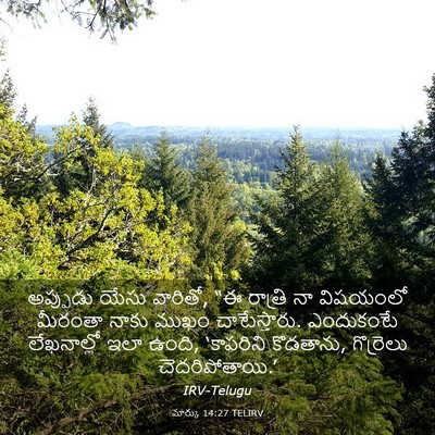 Picture 03 - మార్కు 14:27 TELIRV - అప్పుడు యేసు - Bible Verse Picture