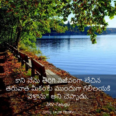 Picture 03 - మార్కు 14:28 TELIRV - కాని నేను తిరిగి - Bible Verse Picture