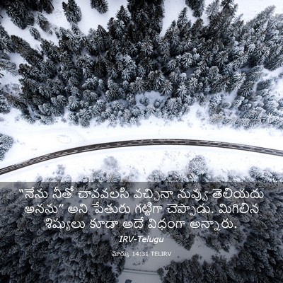 Picture 03 - మార్కు 14:31 TELIRV - “నేను నీతో - Bible Verse Picture