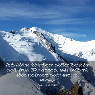 Picture 03 - మార్కు 14:38 TELIRV - మీరు పరీక్షకు - Bible Verse Picture