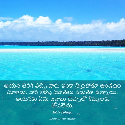 Picture 03 - మార్కు 14:40 TELIRV - ఆయన తిరిగి వచ్చి - Bible Verse Picture