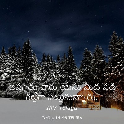 Picture 03 - మార్కు 14:46 TELIRV - అప్పుడు వారు యేసు - Bible Verse Picture