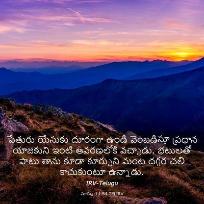 Picture 03 - మార్కు 14:54 TELIRV - పేతురు యేసుకు - Bible Verse Picture
