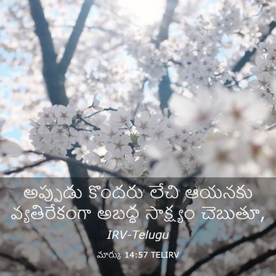 Picture 03 - మార్కు 14:57 TELIRV - అప్పుడు కొందరు - Bible Verse Picture