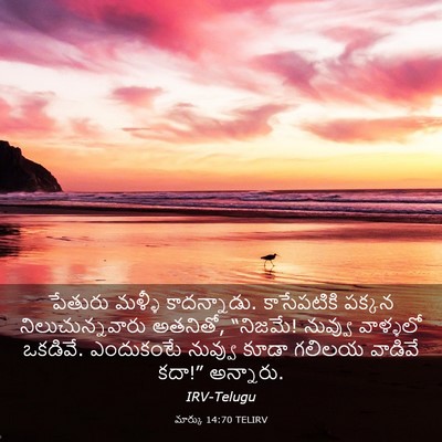Picture 03 - మార్కు 14:70 TELIRV - పేతురు మళ్ళీ - Bible Verse Picture