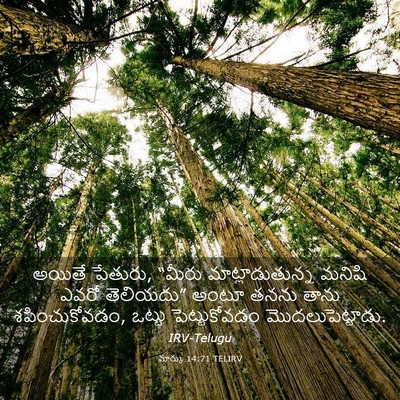Picture 03 - మార్కు 14:71 TELIRV - అయితే పేతురు, - Bible Verse Picture
