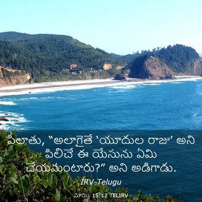 Picture 03 - మార్కు 15:12 TELIRV - పిలాతు, “అలాగైతే - Bible Verse Picture