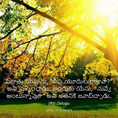 Picture 03 - మార్కు 15:2 TELIRV - పిలాతు యేసును, - Bible Verse Picture