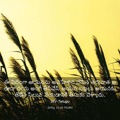 Picture 03 - మార్కు 15:20 TELIRV - ఈ విధంగా ఆయనను - Bible Verse Picture