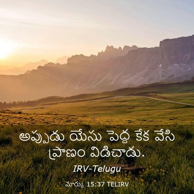 Picture 03 - మార్కు 15:37 TELIRV - అప్పుడు యేసు - Bible Verse Picture