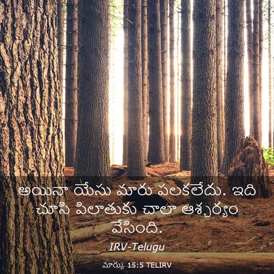 Picture 03 - మార్కు 15:5 TELIRV - అయినా యేసు మారు - Bible Verse Picture